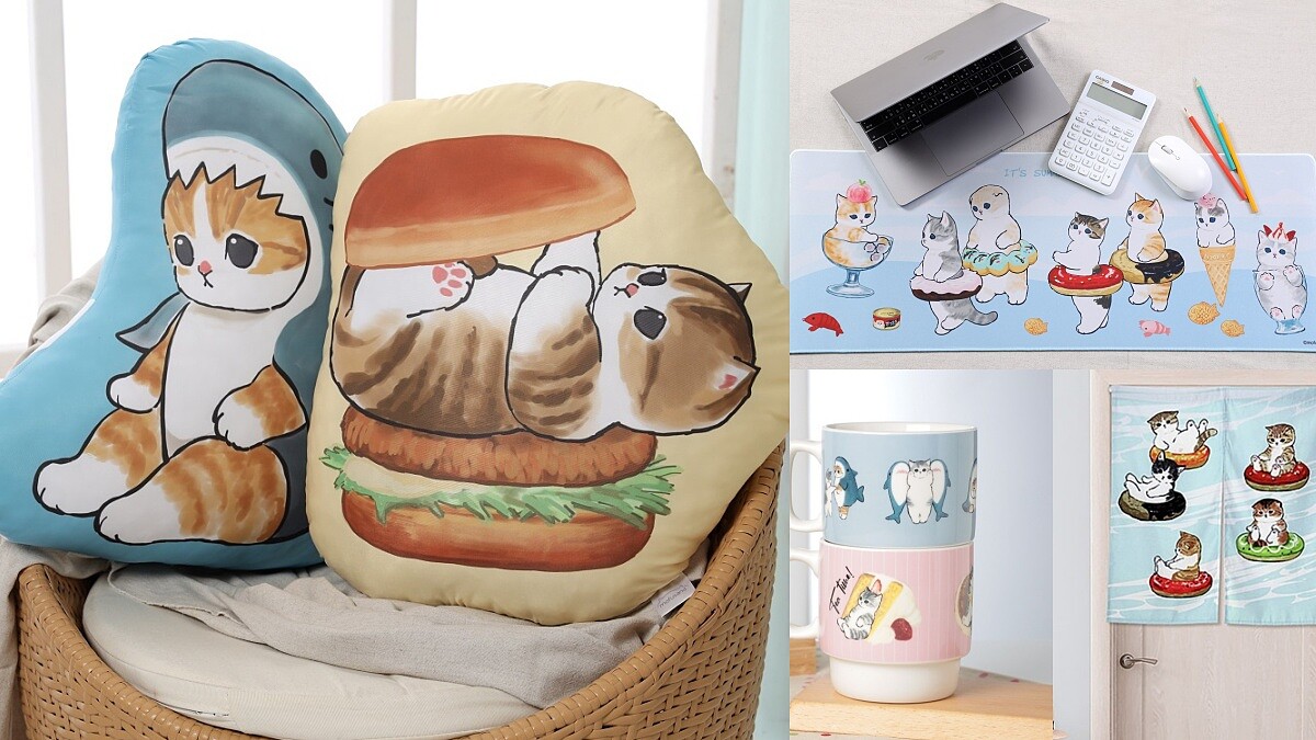 momo 6月集點加購周邊懶人包！攜手日本mofusand推滿滿貓咪商品