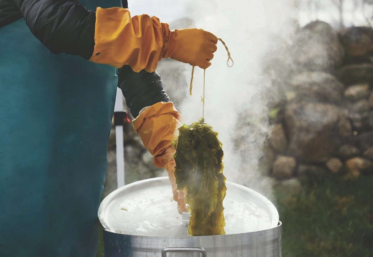 LA MER海洋拉娜支持再生農業。