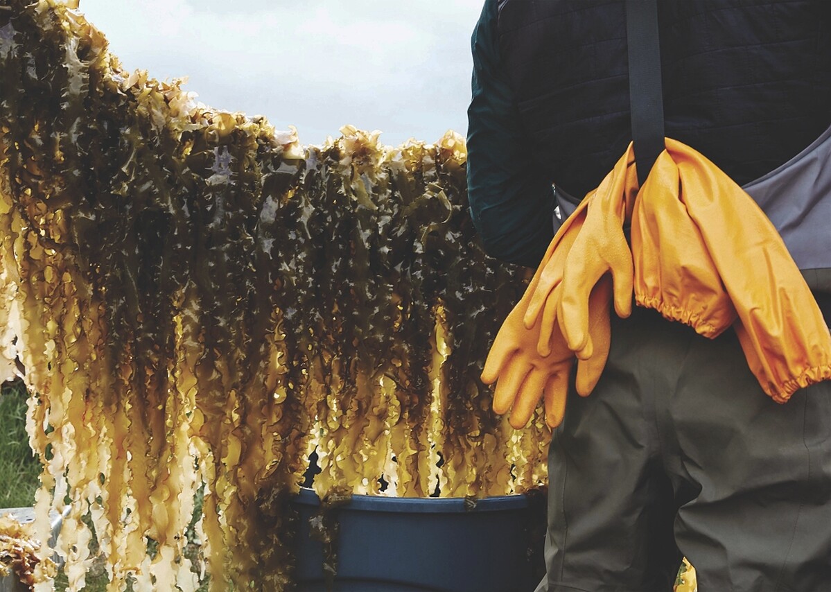 LA MER海洋拉娜支持再生農業。