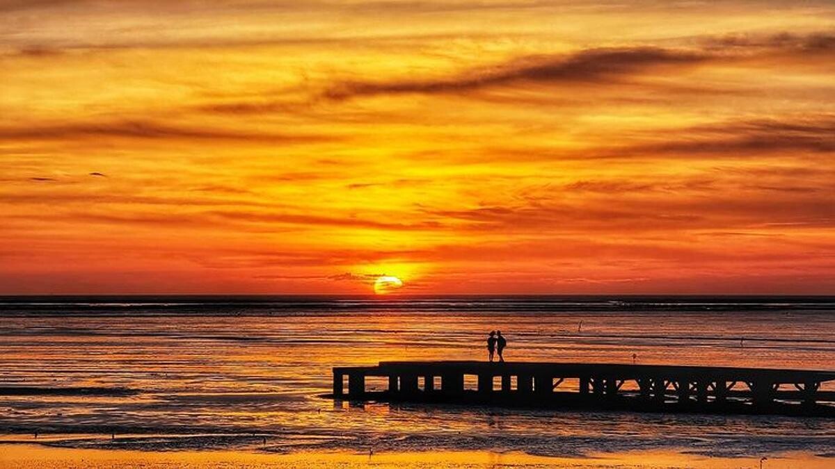 Photo/IG @ nickyoung.huang 授權提供