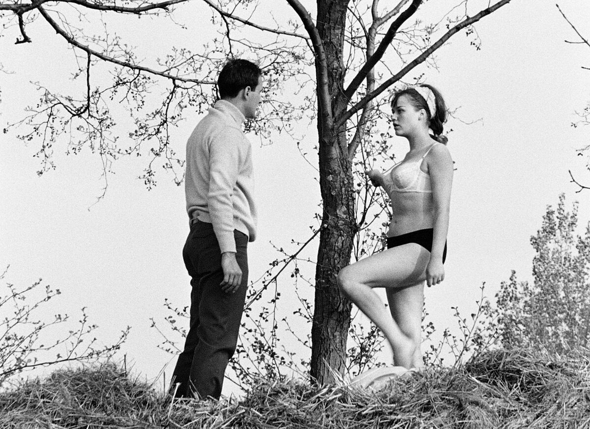 《愛的饗宴》當年拿下威尼斯影展最佳首部作品