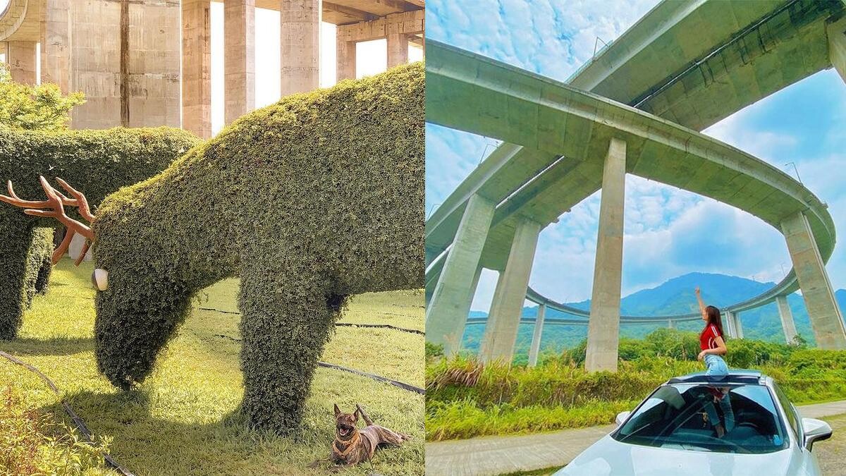 Photo/IG @ ella___and___bafu、IG @ smile.0709 授權提供