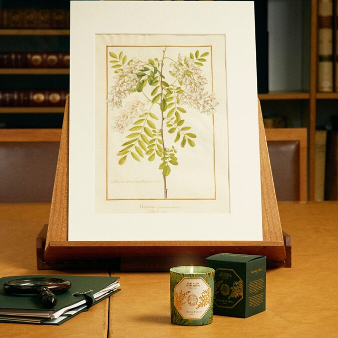 Carrière Frères Absinth苦艾香氛蠟燭。