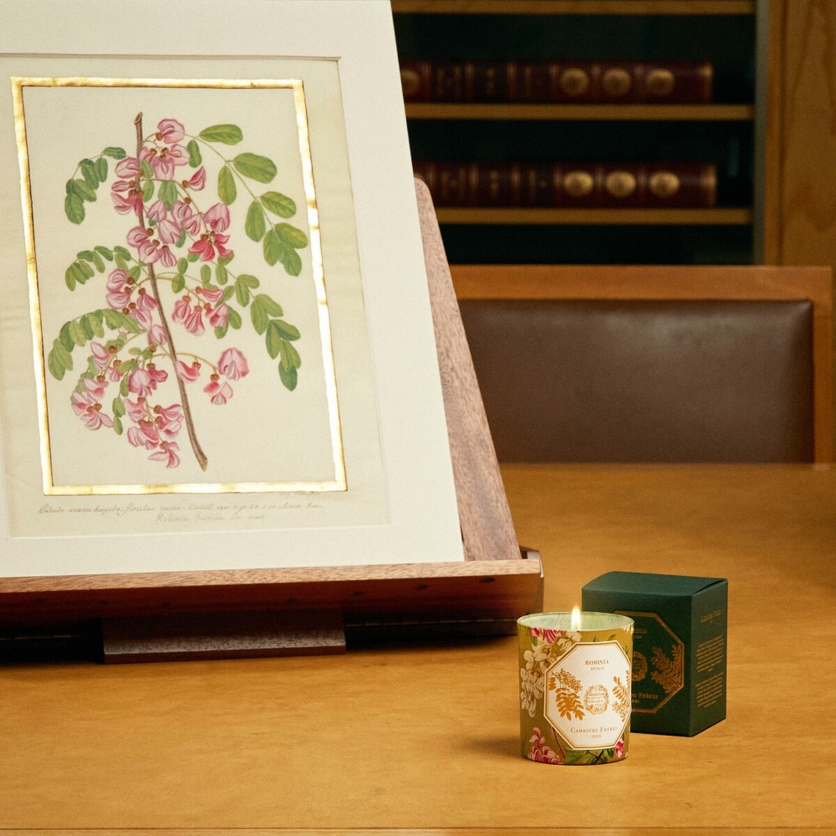 Carrière Frères Acacia刺槐香氛蠟燭。