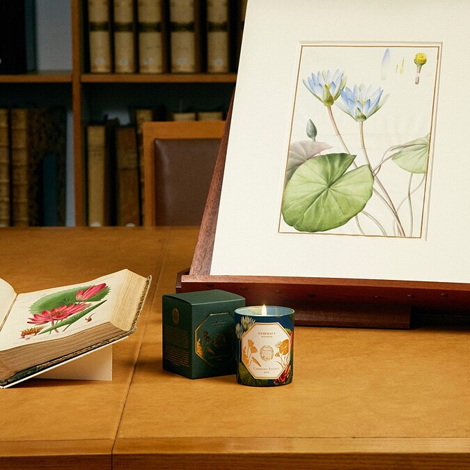 Carrière Frères Waterlily睡蓮香氛蠟燭。
