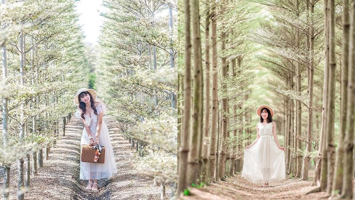 Photo／IG @qqsweet1982、IG @garboodiary 授權提供