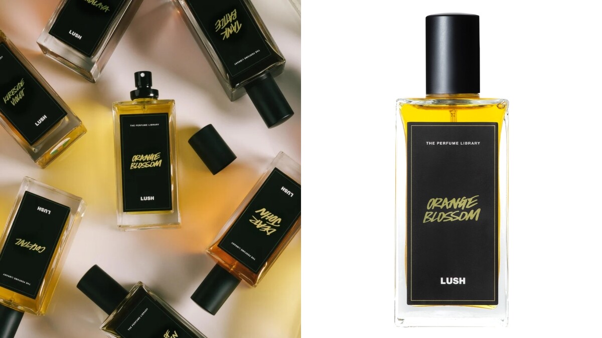 LUSH苦橙花香水Orange Blossom 100ml，NT5,700