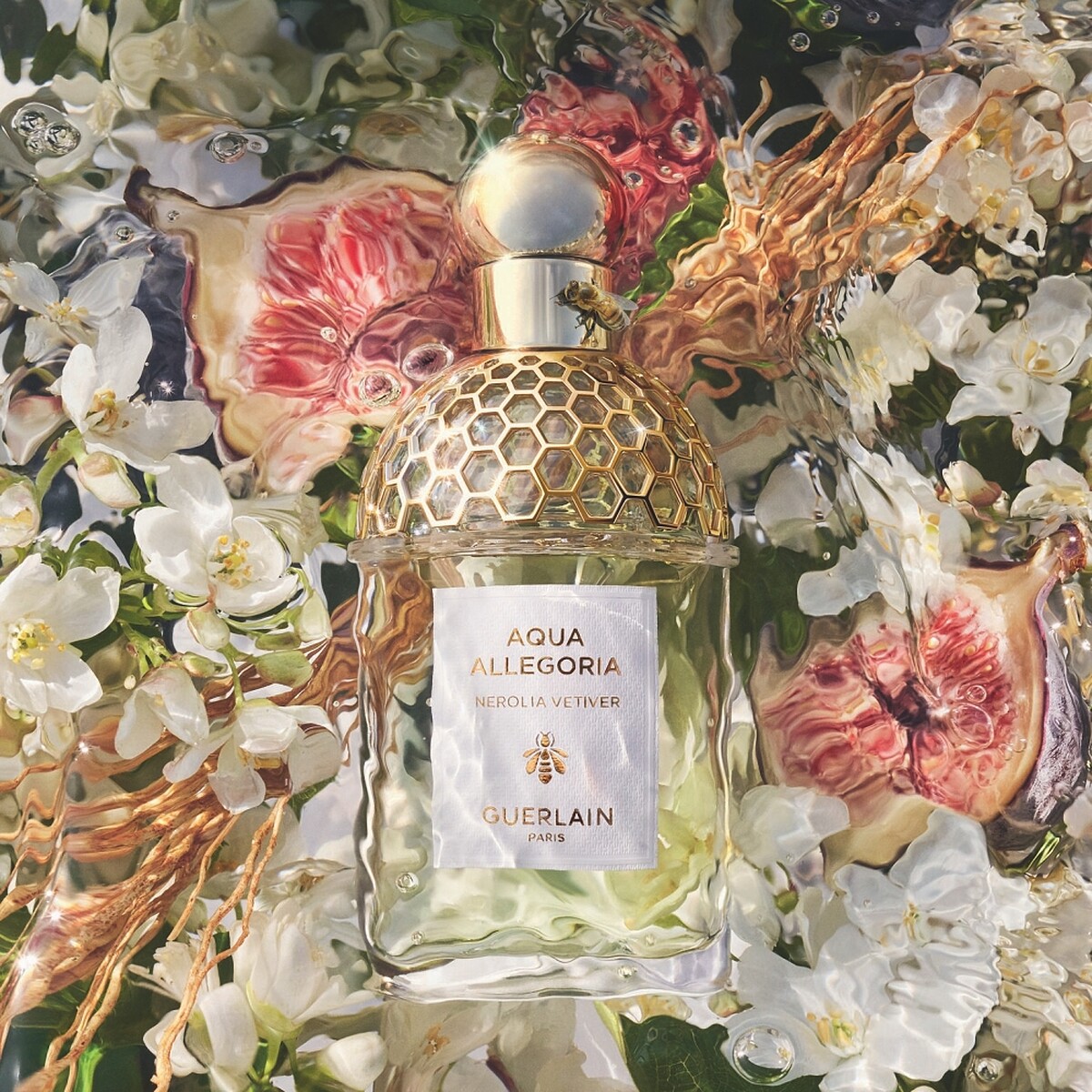 2022全新嬌蘭花草水語琢白岩蘭澄花淡香水視覺圖。