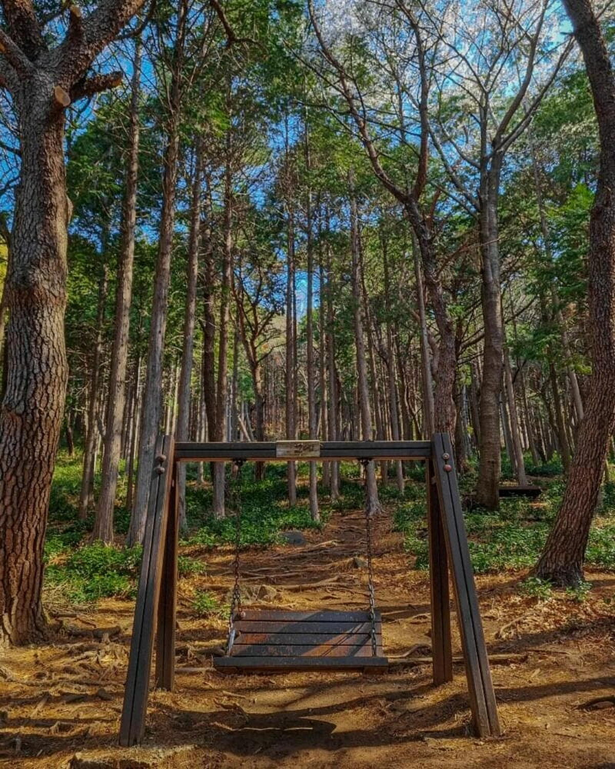 圖片來源/IG@itz_nowourjinhae