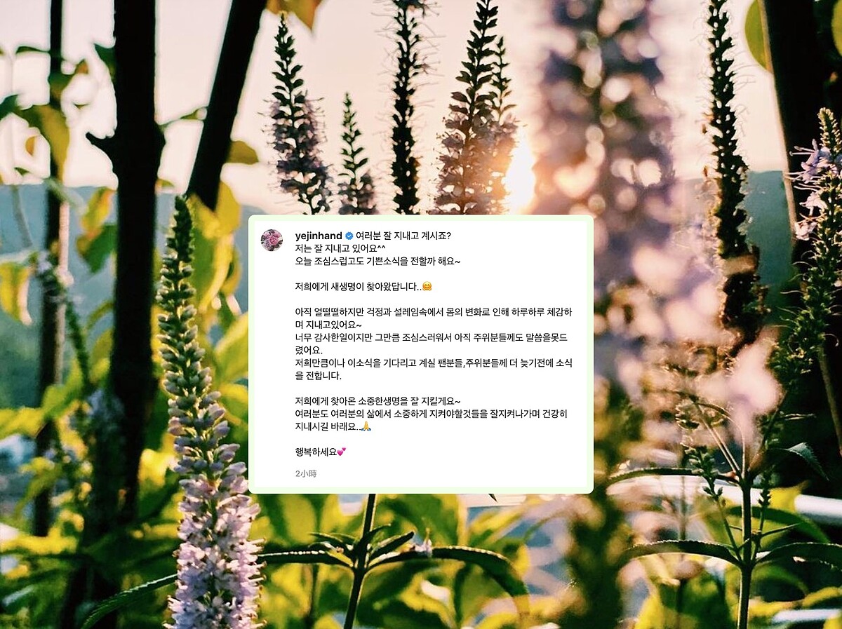 孫藝珍IG宣布懷孕喜訊