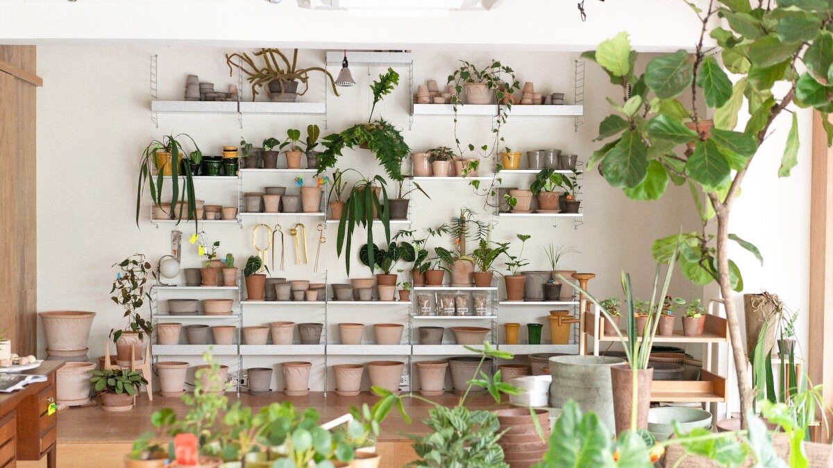 人氣植栽選物店「棚屋 hallo h&uuml;tte」。