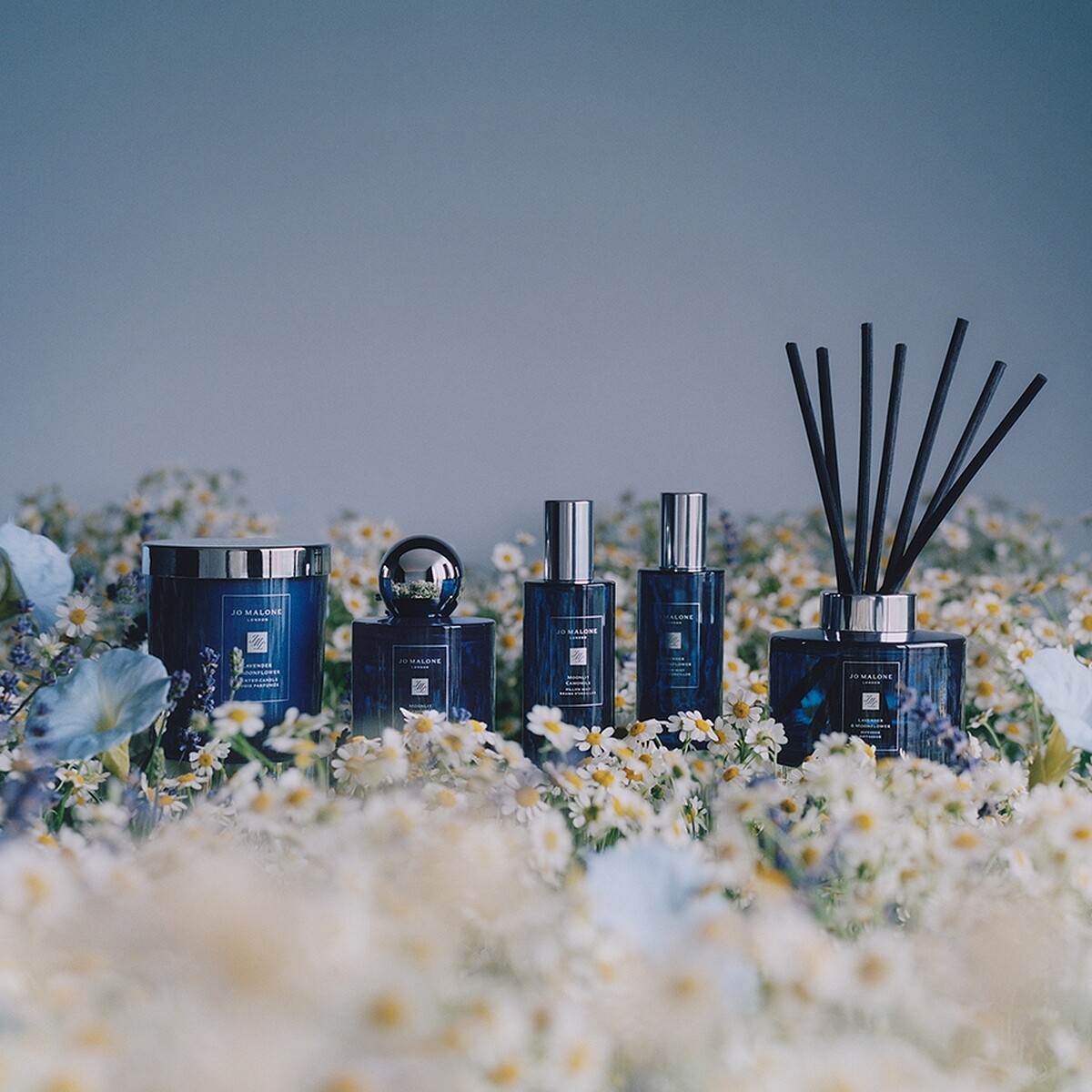 Jo Malone London 月光舒眠系列全新登場。