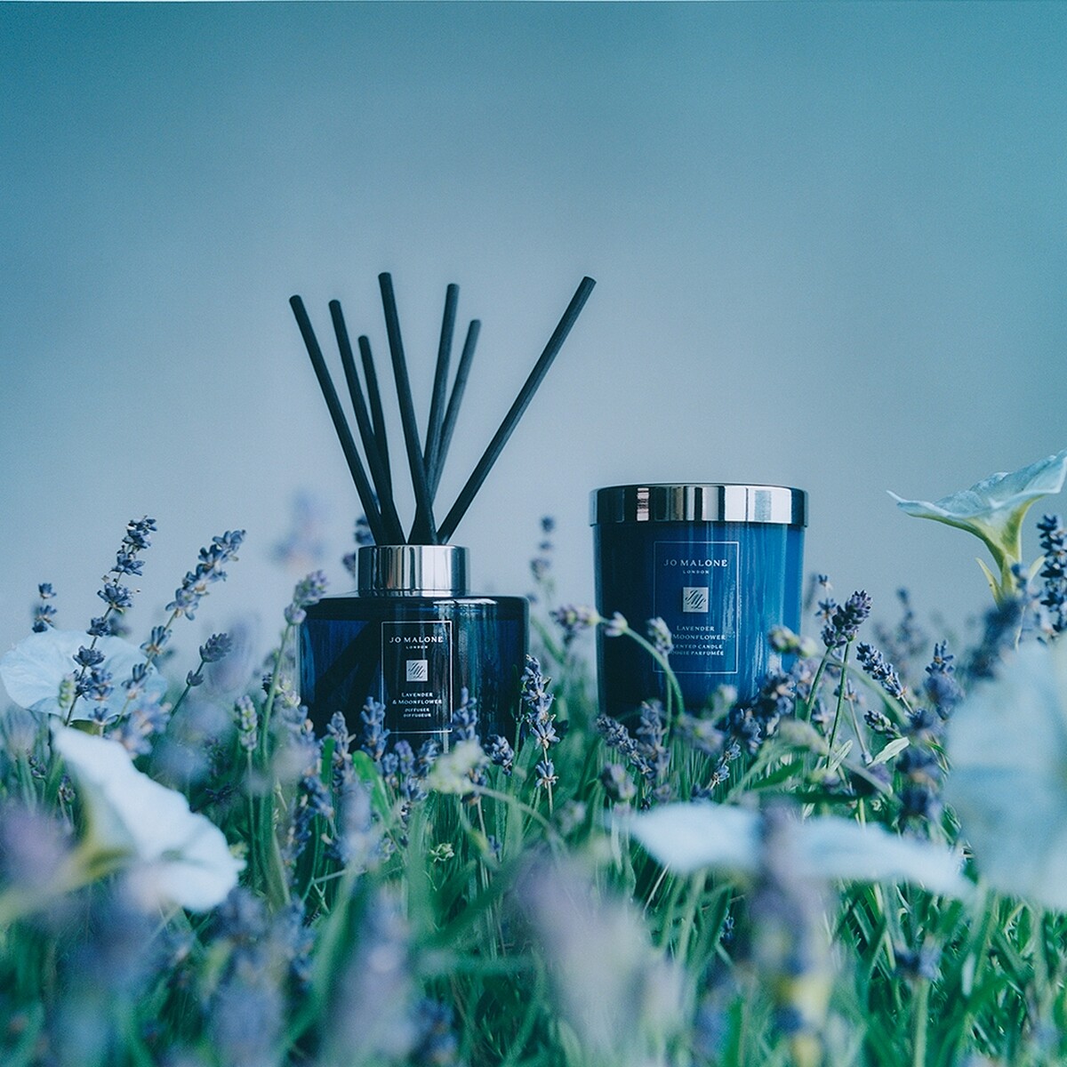 Jo Malone London薰衣草與月光花居家香氛蠟燭NT2,700、擴香NT3,850