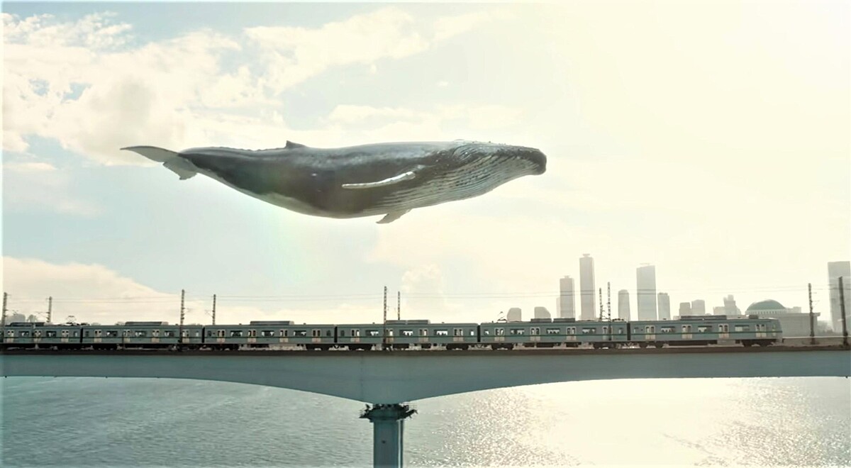 《非常律師禹英禑》陪著英禑上班的鯨魚CG