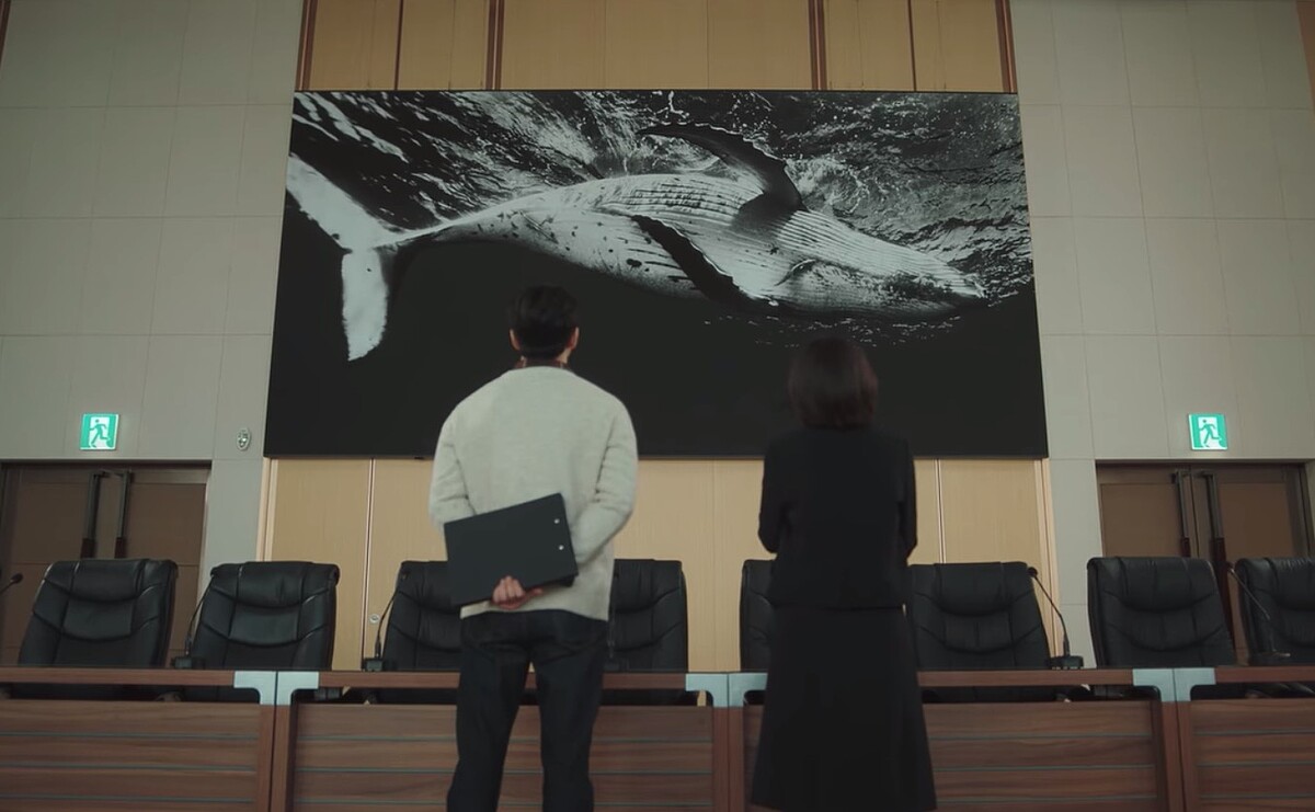 英禑見到鯨魚掛畫超級開心