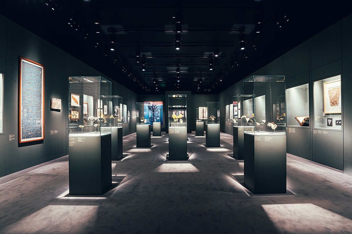 CHAUMET Botanical 植藝萬千藝術大展展場