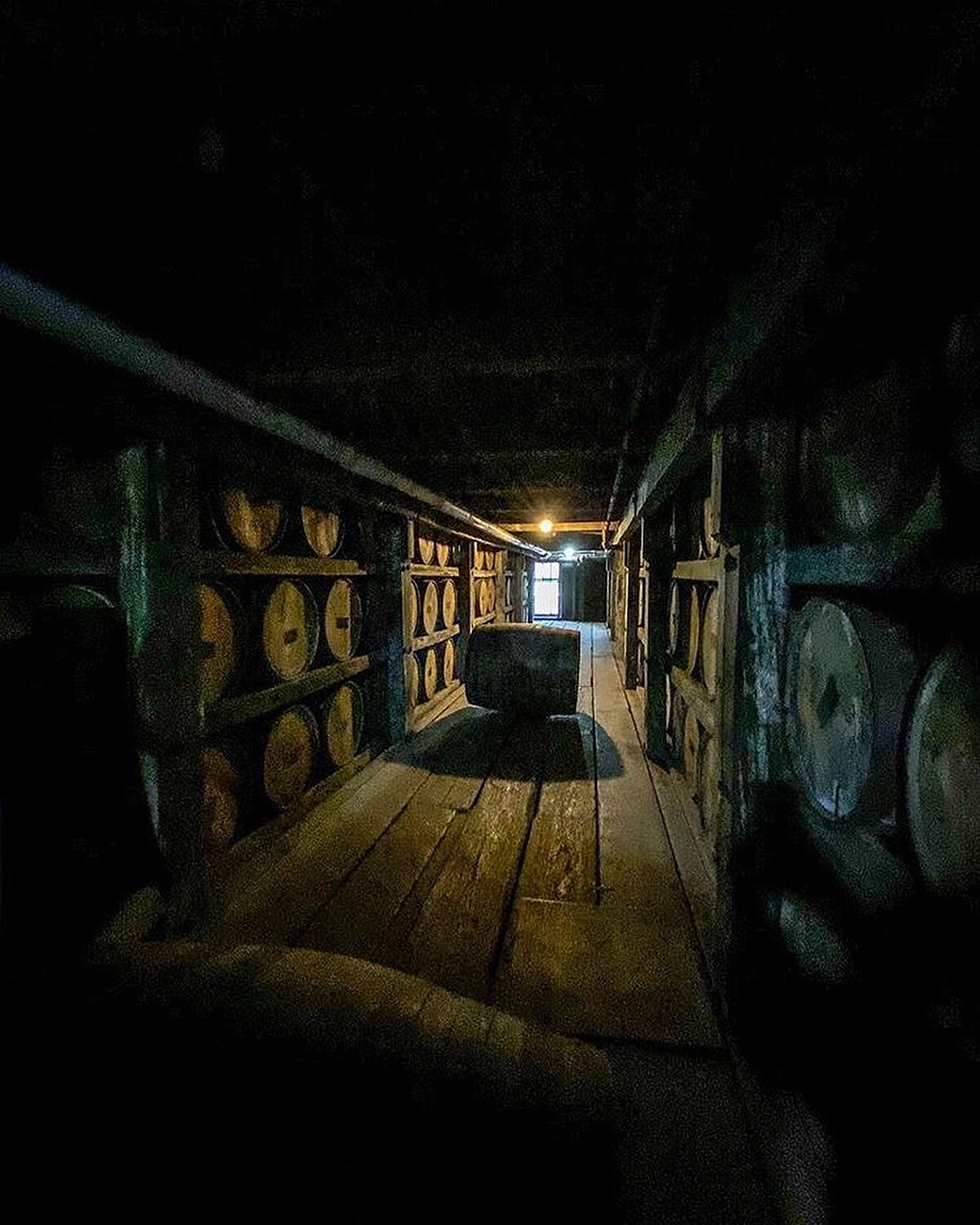 位於美國肯塔基州的美國傳奇酒廠「野牛仙蹤 Buffalo Trace」。