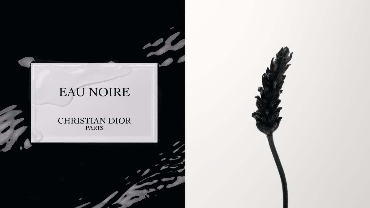 DIOR迪奧香氛世家-黑潮香氛與薰衣草情境圖。