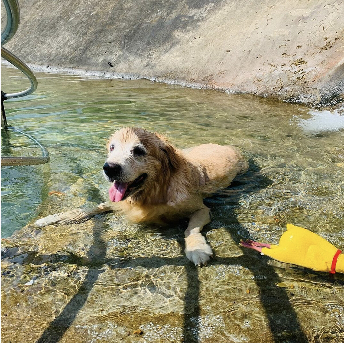 圖／IG@kristylin92