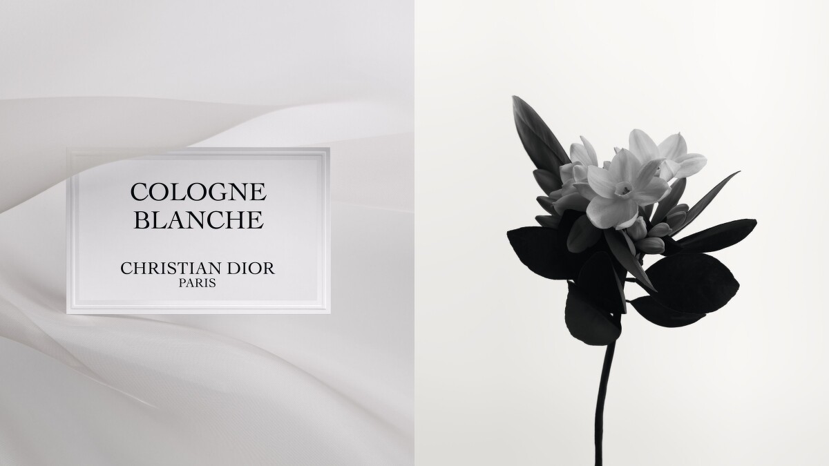 DIOR迪奧香氛世家-晨光古龍香氛與橙花情境圖。