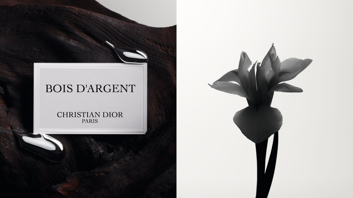 DIOR迪奧香氛世家-鑲銀木香氛與鳶尾花情境圖。