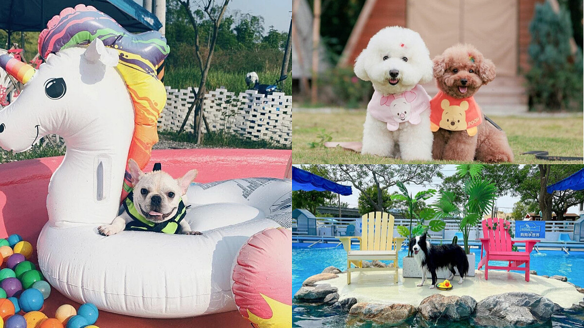 精選全台8處狗狗遊樂園！帶毛小孩出門放風，在粉紅泳池玩水、草皮奔跑、大啖美食