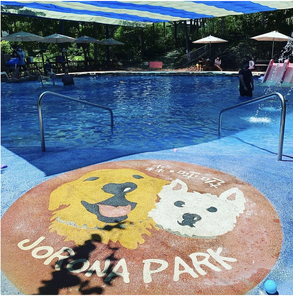 圖／IG@meiling20127