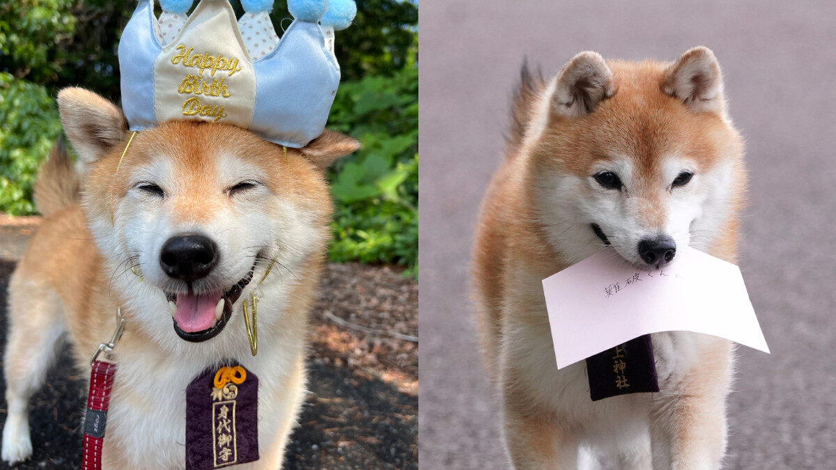 《難破MG5》難破松由豆三郎飾演 &copy;Fuji TV 