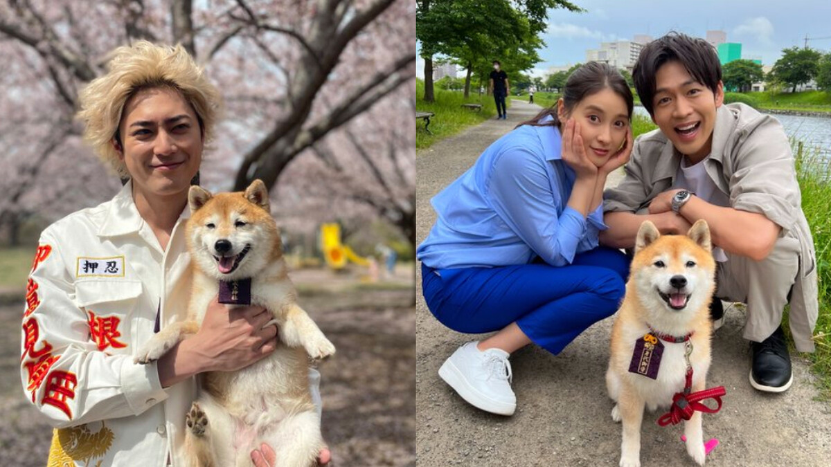 豆三郎與間宮祥太朗 / 客串《麻煩一族》最終回 &copy;Fuji TV