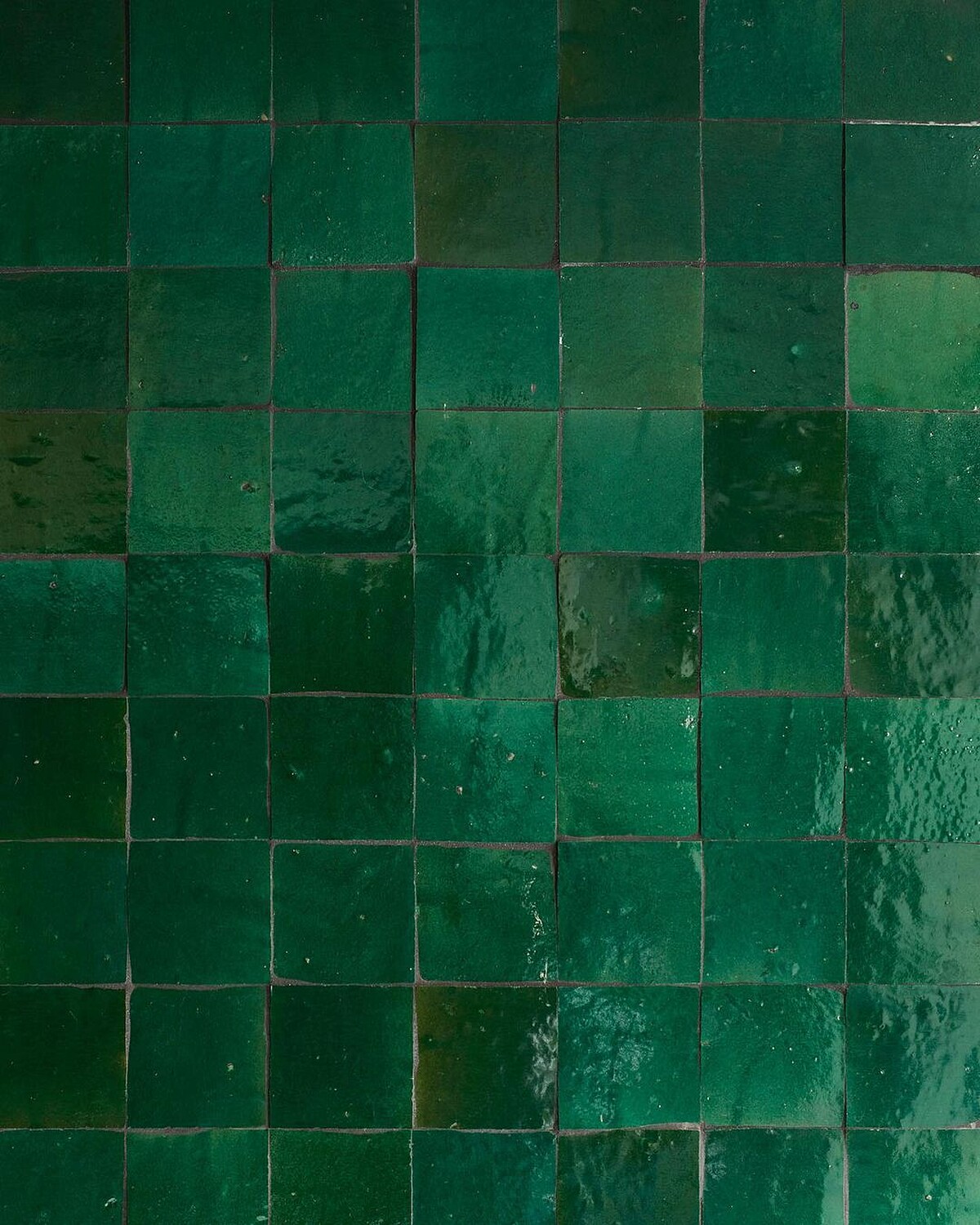 苔蘚綠的牆面。