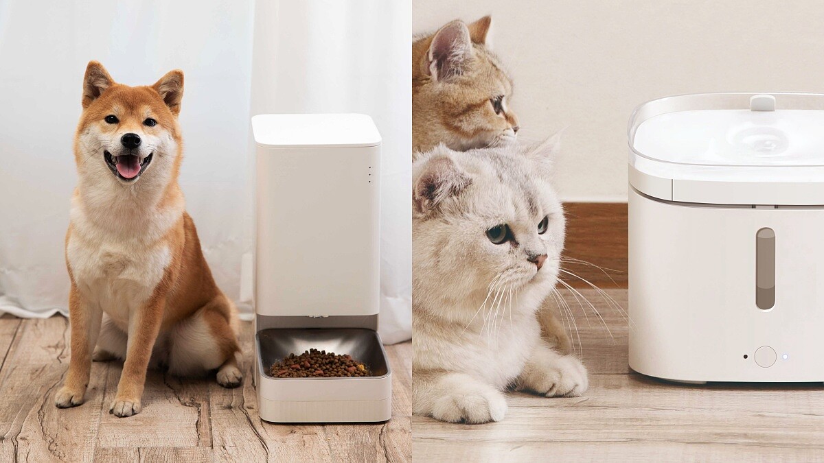 小米進軍寵物界！開賣智慧餵食器、飲水機，外出也能照顧毛小孩，5款家電新品太吸睛