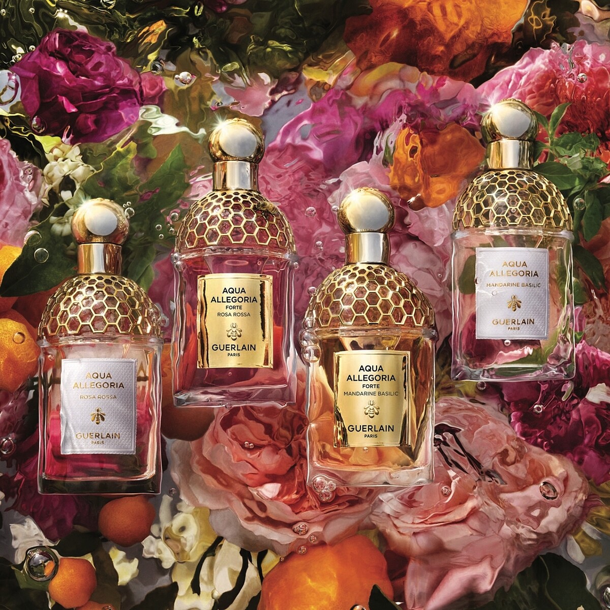 嬌蘭花草水語晨霧玫瑰與陽光甜橘淡香精及淡香水主視覺。