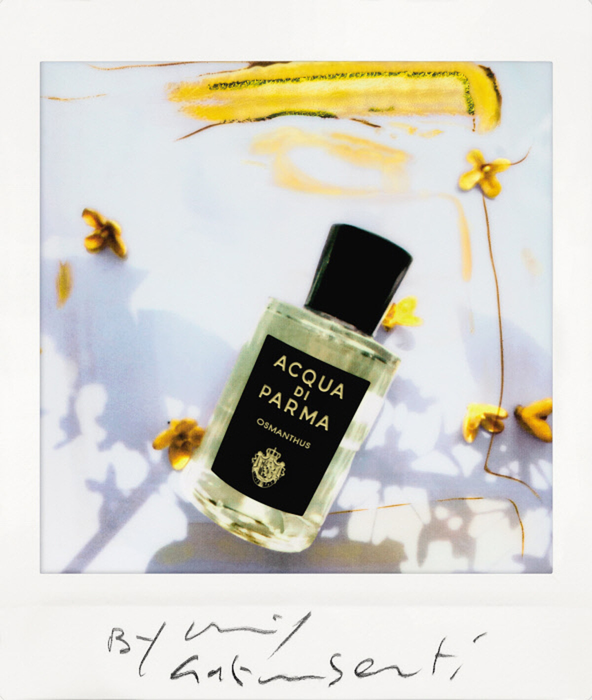 Acqua di Pama經典格調系列桂花淡香精20ml，NT3,700、100ml，NT8,400、180ml，NT10,500