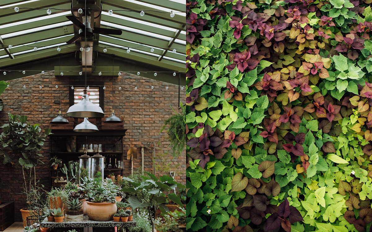 屋頂農園從節能玻璃到物理通風造霧降溫系統都經過仔細設計，自成一套節能體系。頂樓則以降溫效果最佳的可食地景地瓜葉栽種，住戶還可上樓採收。