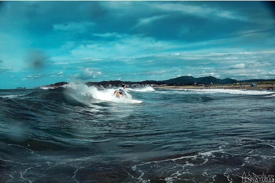 圖片來源:IG@treetreetravel