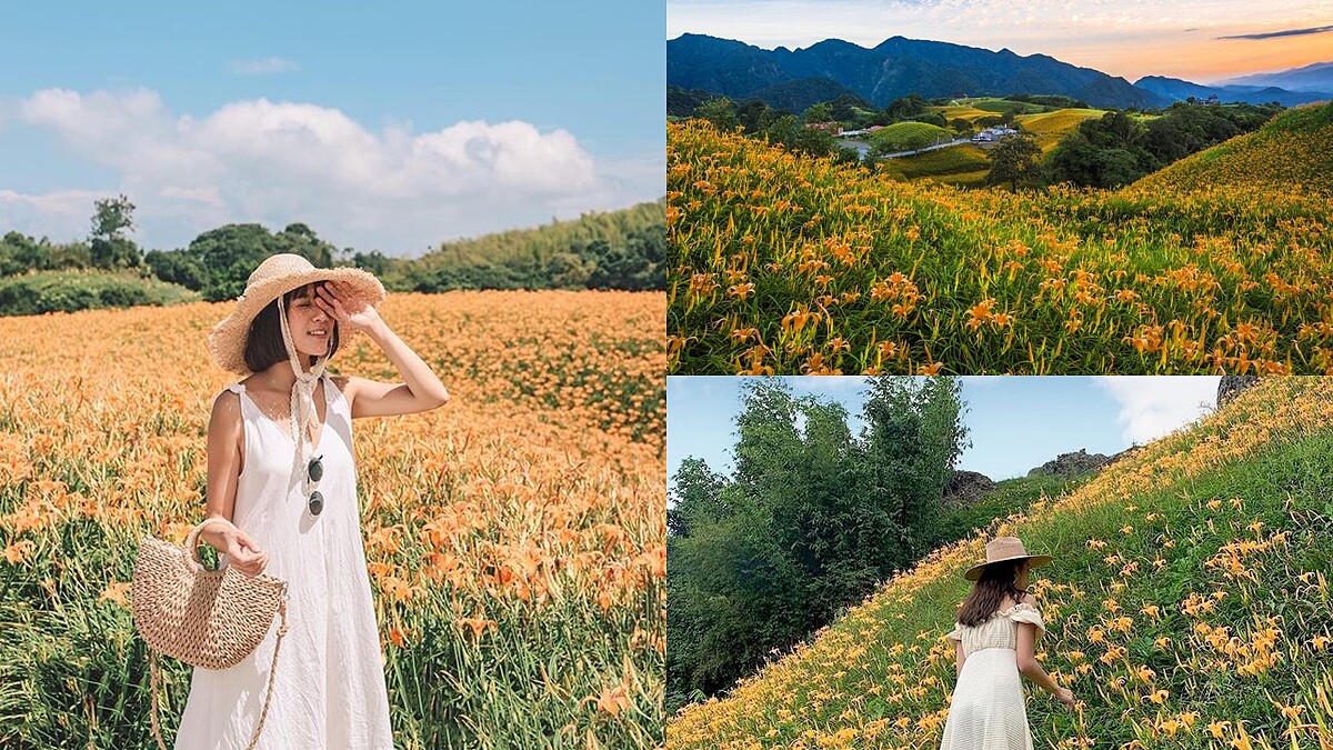 2023花東金針花季來襲！整片金黃花海宛如仙境，最佳賞花景點、日期一次看