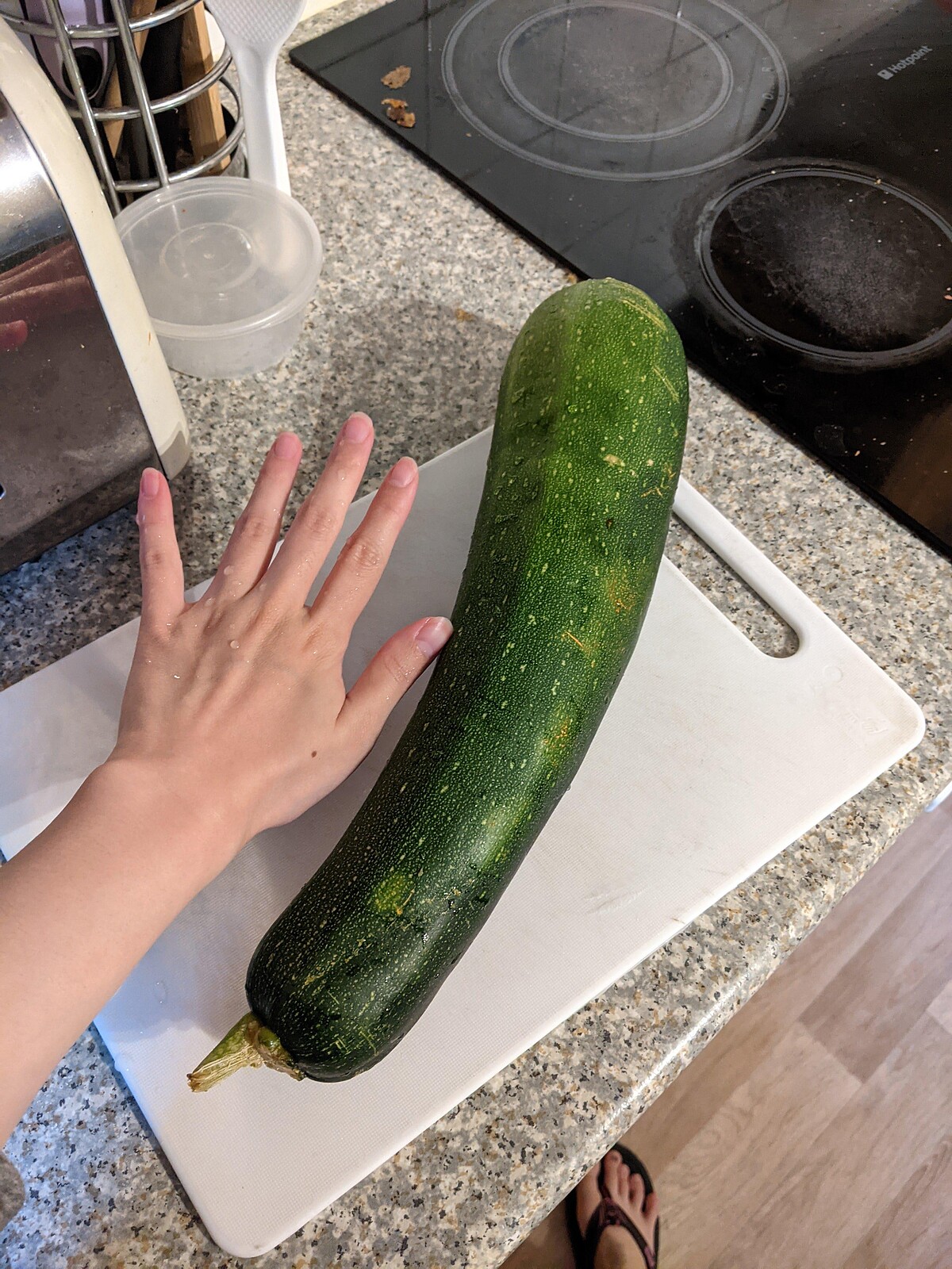 曹先生種的大節瓜。