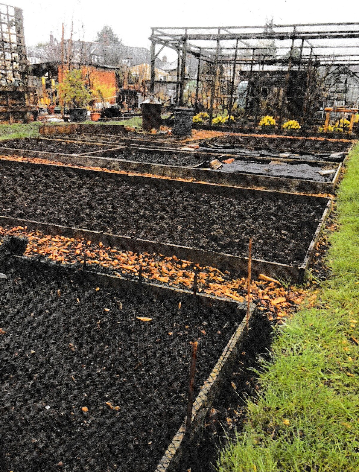 曹先生提供的照片：園圃土地一角。