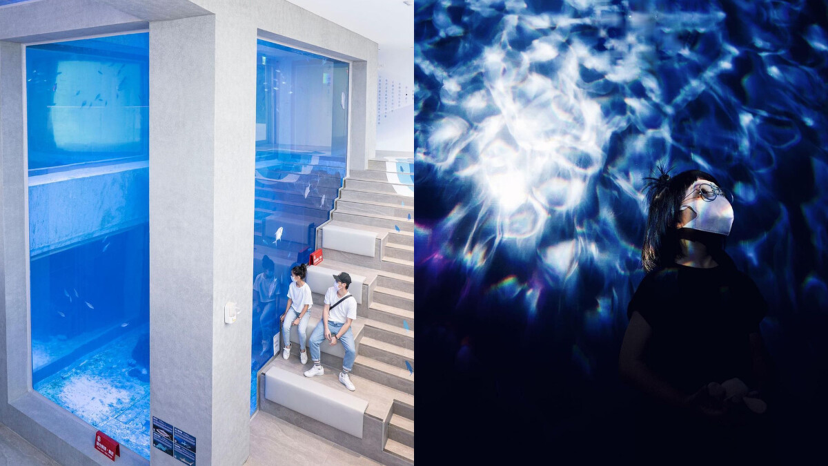 Photo／Ig @zariachiou、@ssj0322授權提供