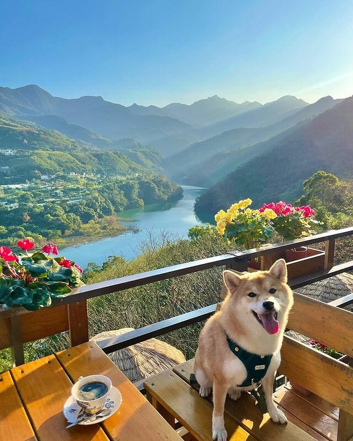 圖片／@IGteddyyy0701