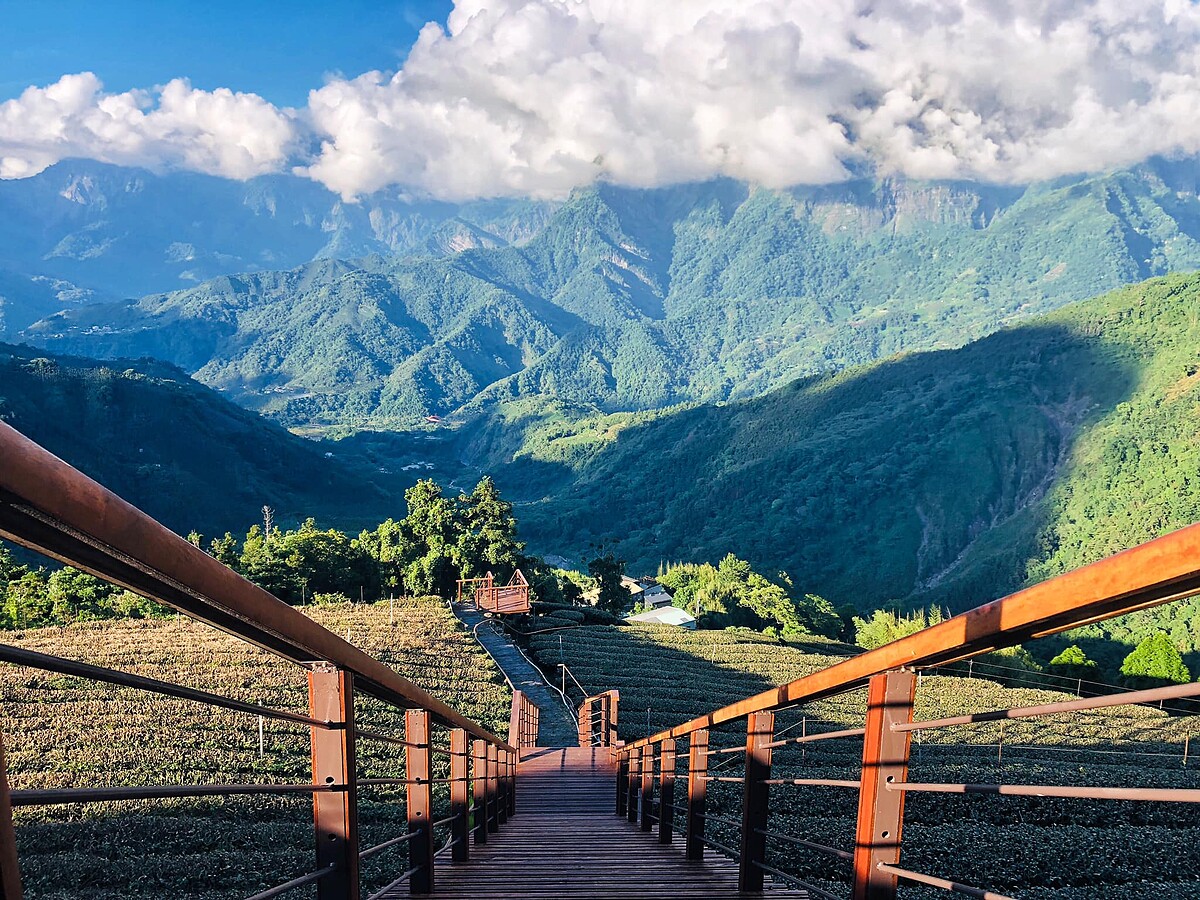 圖片／@IGtrippertea