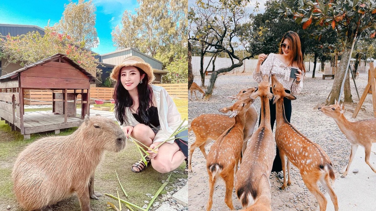 Photo / IG @eight1010、@mao092120 授權