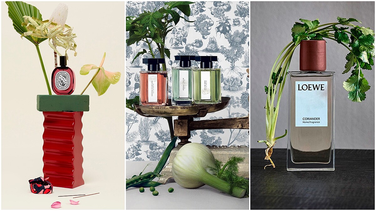 甜菜根、小黃瓜、番茄葉…田園系香水正熱，綠調甜感香讓你愈菜愈時髦