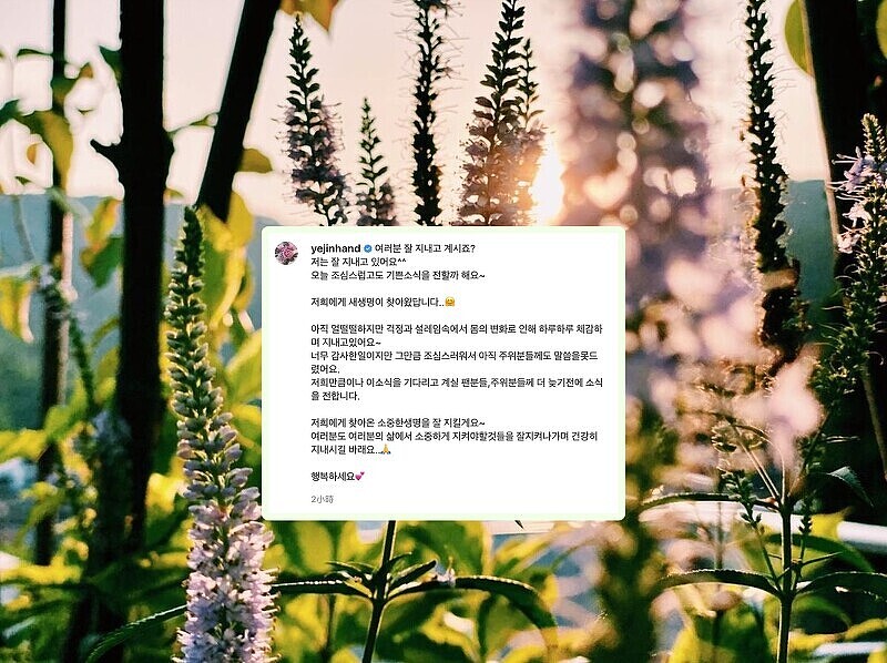 孫藝珍IG宣布懷孕