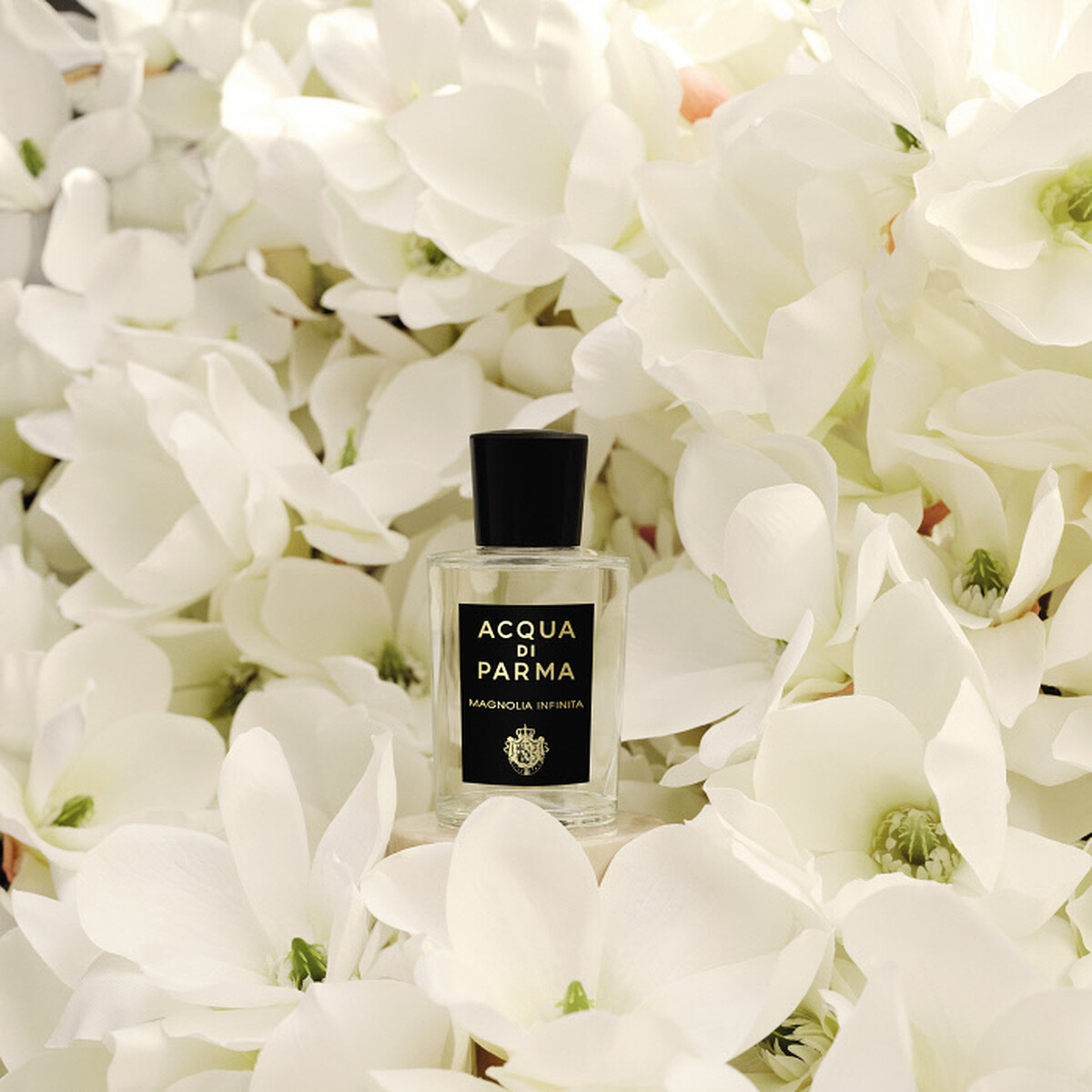 Acqua di Parma格調系列無限木蘭淡香精情境圖。