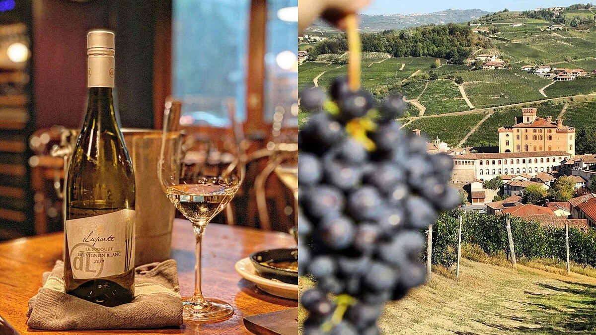 你懂紅酒嗎？！從產地、年份、風味...帶你認識葡萄酒，打破原有的印象