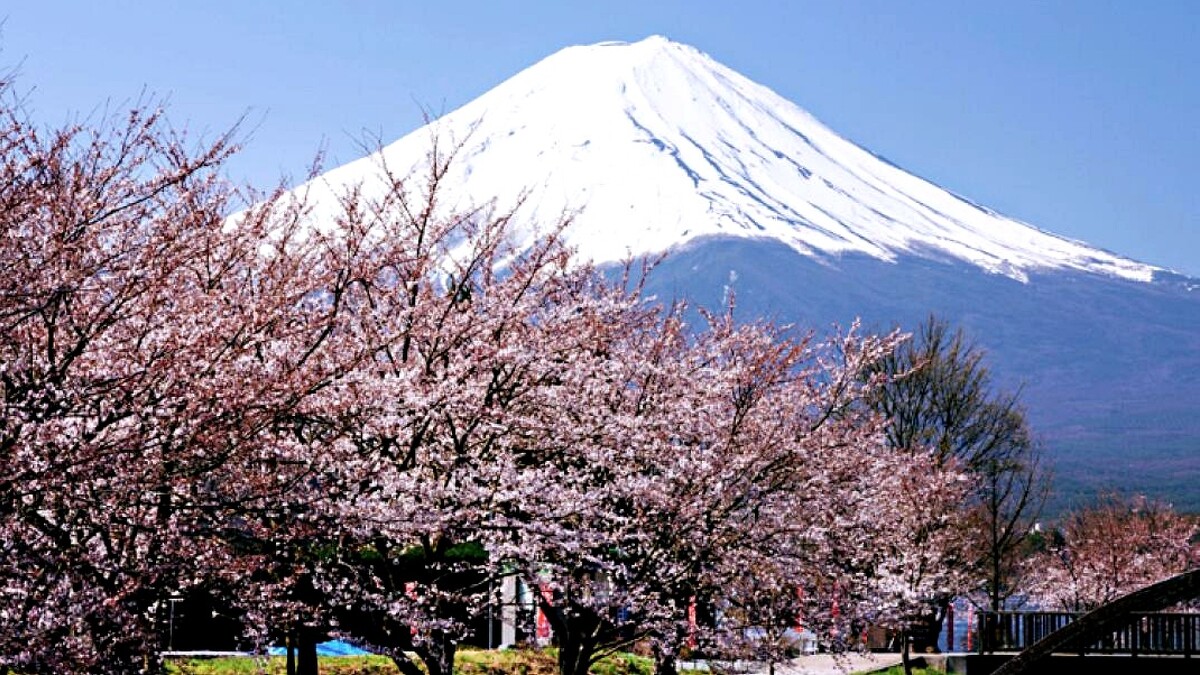 富士山