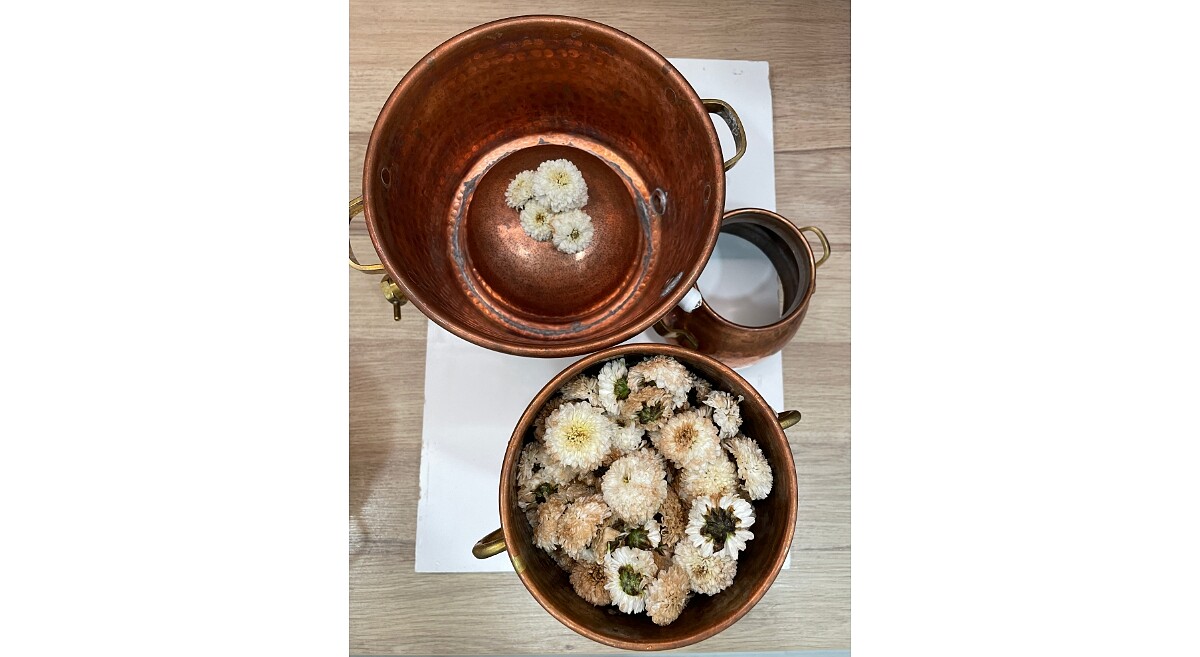 銅製蒸餾器，準備以水上蒸餾法蒸餾杭菊花(Photo/麥浩斯出版社)。