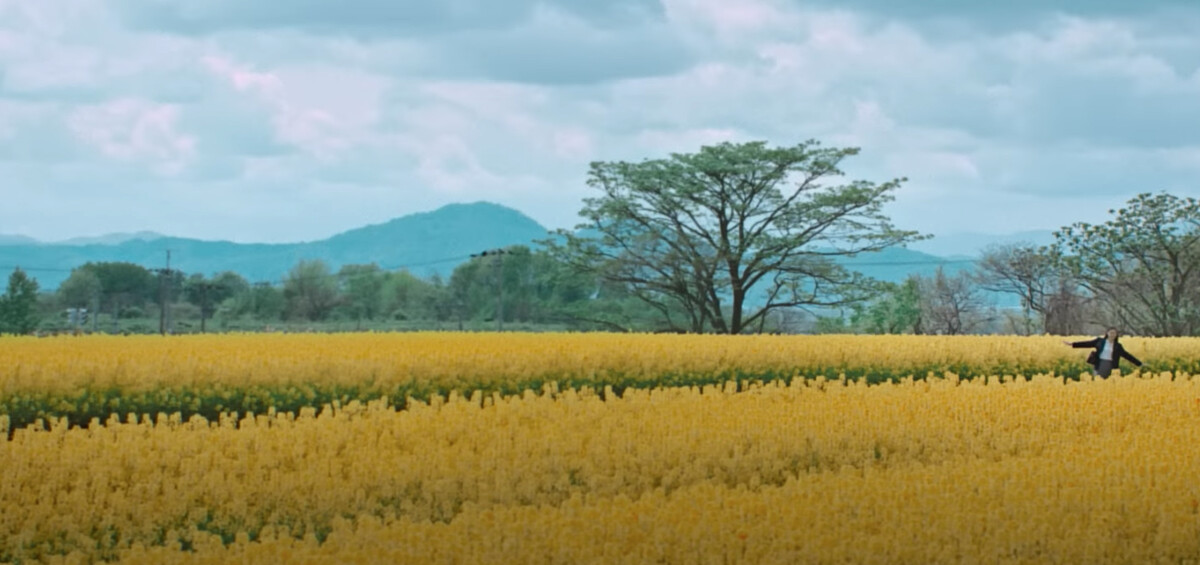 《First Love 初戀》一年四季景致盡收眼底