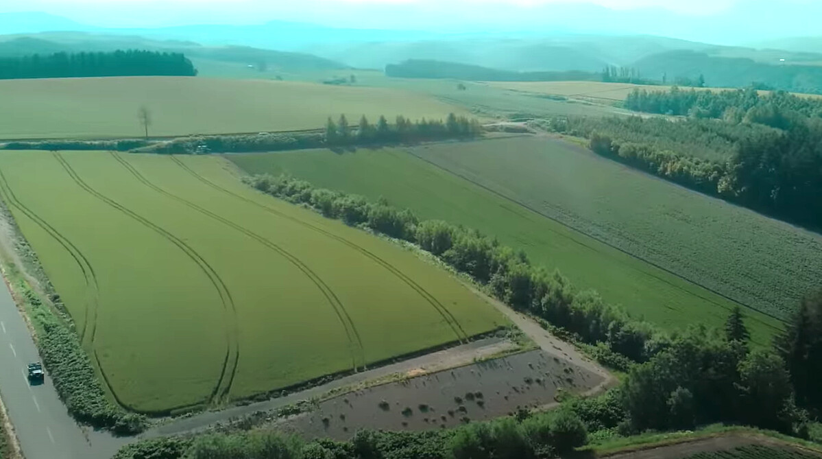 《First Love 初戀》呈現日本風情畫